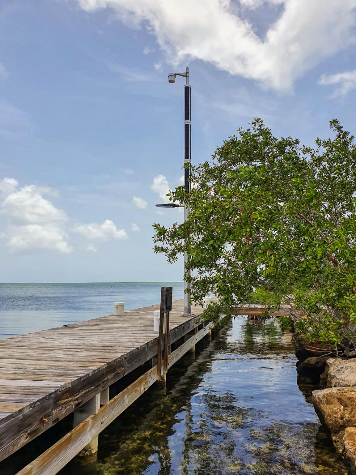 Turtle-friendly lights solar powered Turtle-friendly lights solar powered